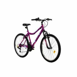 Bicicleta Mtb Terrana 2604 - 26 Inch, Violet imagine