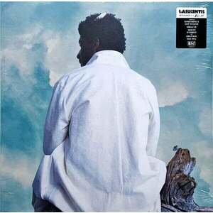 Labrinth - Misfit Kid (LP) imagine