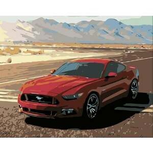 Zuty Picturi pe numere Mustang imagine