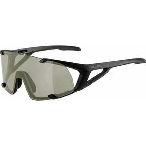 Alpina Hawkeye Q-Lite Black Matt/Silver Ochelari pentru sport imagine