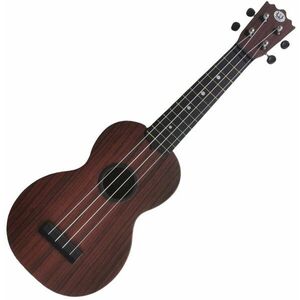 Pasadena WU-21W(BK) Wood Grain (Black) Ukulele soprano imagine