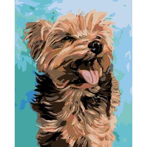 Zuty Picturi pe numere Yorkshire Terrier fericit imagine