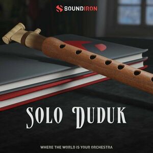 Soundiron Solo Duduk (Produs digital) imagine