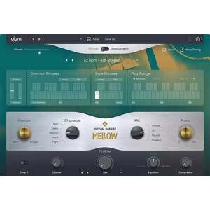 UJAM Mellow 2 (Produs digital) imagine