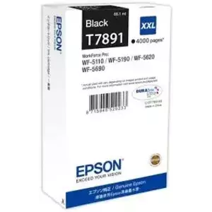 Cartus Ink Black Epson T789140 T789 XXL 65ml imagine