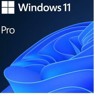 Microsoft Windows 11 Pro pentru statii de lucru, 64 bit, Engleza, DVD imagine