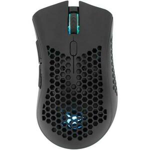 Mouse Gaming Wireless White Shark LIONEL, 10.000 DPI, 1.000Hz, 60IPS, 20G, Chipset PIXART 3325, Switch-uri HUANO 20M, Butoane Programabile, RGB LED, Cablu braided 1, 5m, Matte Coating, Negru imagine