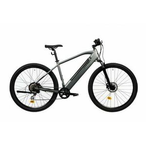 Bicicleta Electrica Corwin 28161, roti 28inch, cadru 490mm, motor 250 W, 9 viteze, acumulator 16.75 Ah (Gri) imagine