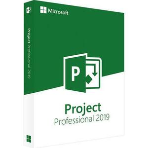 Project Professional 2019, Multilanguage, Windows, ISO Retail, licenta digitala imagine