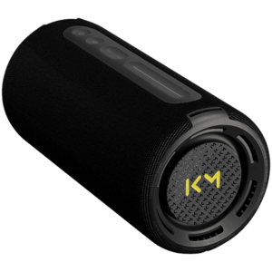 Boxa Portabila LOEWE WE HEAR Pro, 50 W, Bluetooth, USB-C, IPX6 (Negru) imagine