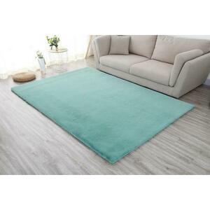 Covor Heinner Shaggy, soft, blanita, 160x230 cm (Turcoaz) imagine