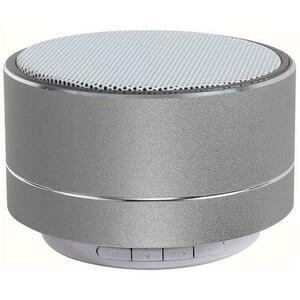 Boxa portabila Clip Sonic TES196S, 3 W, Mod FM (Argintiu) imagine