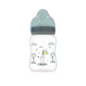 Biberon Lorelli, 0 luni+, 250 ml, Mint Green imagine