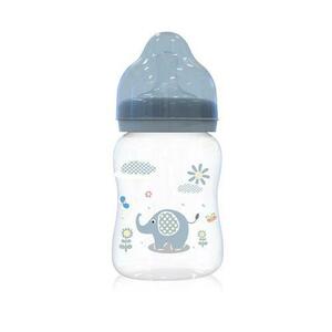Biberon Lorelli, 0 luni+, 250 ml, Moonlight Blue imagine