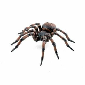 Figurina Papo Garden animals - Common spider imagine
