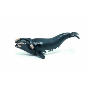 Figurina Papo Marine life - Right whale (Albastru) imagine