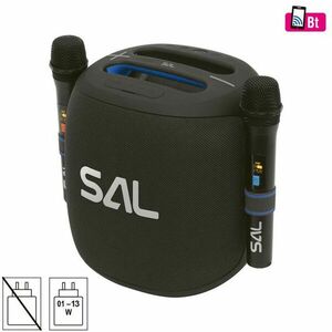 Sistem audio stereo cu 2 microfoane Wireless, 100W, difuzor mid-bass, 2 tweetere, USB/microSD, AUX, efecte LED, negru imagine
