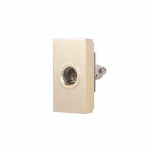 Modul Priza TV 1M LUXION, Standard Italian (Auriu) imagine