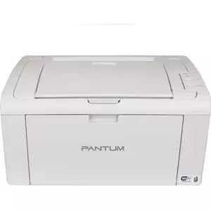 Imprimanta Laser Monocrom Pantum P2509W, WiFi, 600Mhz, Viteza 22ppm imagine