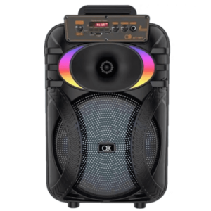 Boxa portabila cu bluetooth BT 1001 de 10 inch microfon led RGB imagine