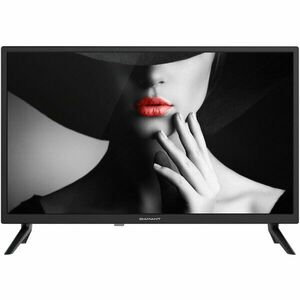 Televizor LED Diamant 24HL4300H/C, 60 cm, HD, Clasa E imagine