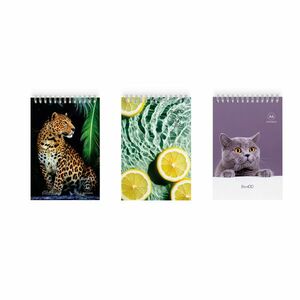 Carnetel aritmetica, format A6, spirala metalica in partea superioara, 60 g/mp, 50 file imagine