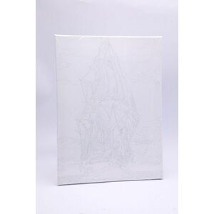Set panza pictura pe numere, 24 culori acrilice, pensule, 30 x 40 cm imagine