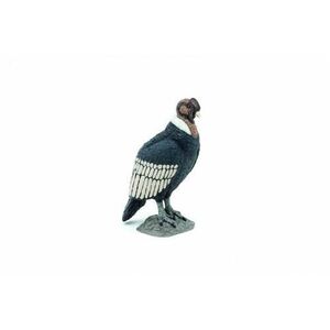 Figurina Papo Wild animal kingdom - Condor (Multicolor) imagine