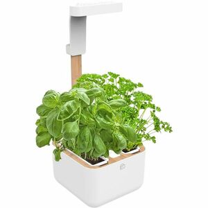 Véritable Botaneo + 2 umpluturi cu ierburi - Ghiveci de flori automat imagine