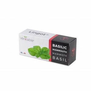 Véritable Lingot Mamut Basil imagine