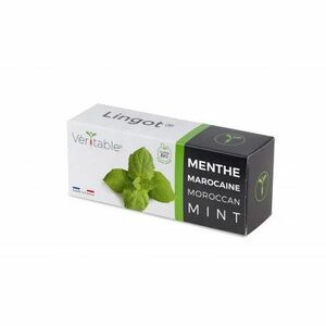 Véritable Lingot Mentă marocană - BIO imagine