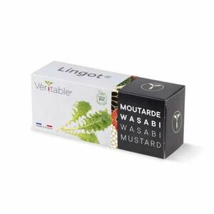 Véritable Lingot Muștar Wasabi - BIO imagine