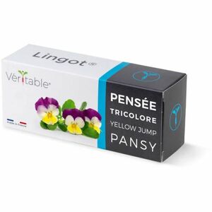 Véritable Lingot Pansy - BIO imagine