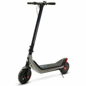 Trotineta electrica Argento KPF by Pininfarina, motor 350W, autonomie 40 Km, viteza maxima 25 Km/h, roti 10inch (Gri) imagine