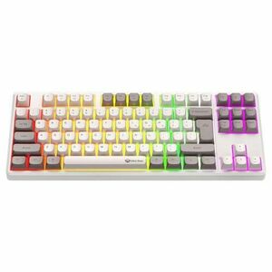 Tastatura mecanica de gaming Meetion P110, 2.4G, Bluetooth, Iluminare din spate RGB, Alb imagine