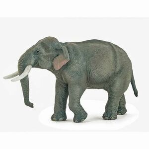 Figurina Papo Wild Animal Kingdom - Asian elephant (Gri) imagine