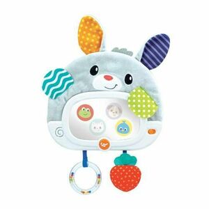 Jucarie Winfun - Iepuras imagine