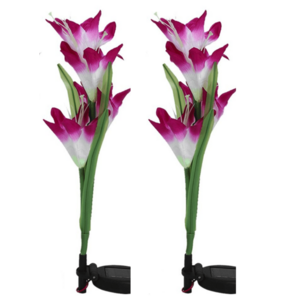 Set 2 lampi solare pentru gradina model FLOARE colorata imagine